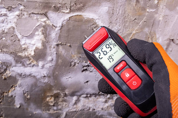 Best DIY Mold Remediation Support Services in Plains, KS