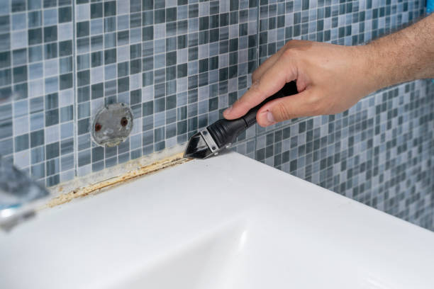 Best Emergency Mold Remediation in Plains, KS